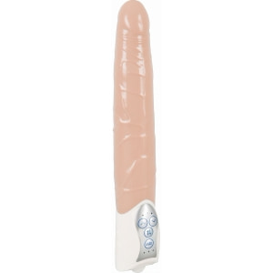 Penis Artificial Cu Vibrații Push It! pe Vibreaza.ro