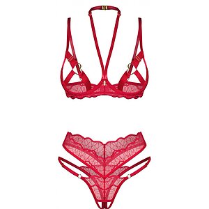 Set Obsessive Cupide Desir Roșu pe Vibreaza.ro