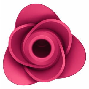 Vibrator Clitoridian Trandafir Satisfyer Pro 2 Modern Rose