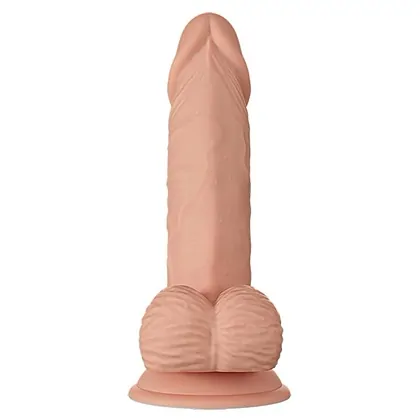 Baile Zebulon 24 cm - 18 cm Inserabil, Ventuză Puternică