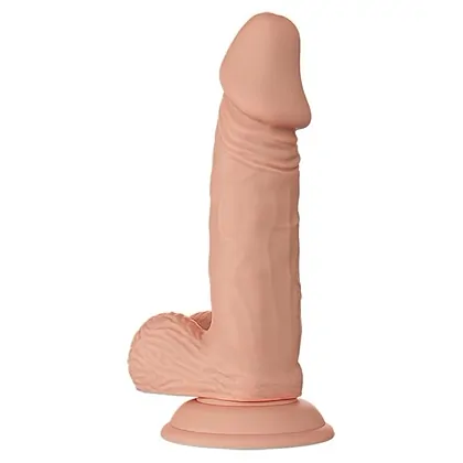 Baile Zebulon 24 cm - 18 cm Inserabil, Ventuză Puternică