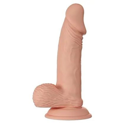 Baile Zebulon 24 cm - 18 cm Inserabil, Ventuză Puternică