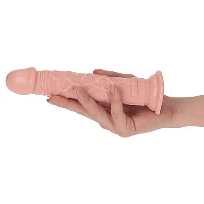 Dildo Italian Penis 18.5 cm