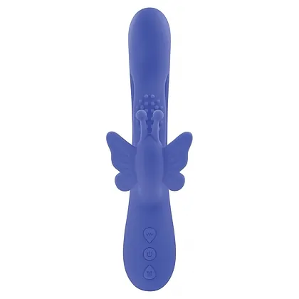 Evolved Butterfly Dreams Mov