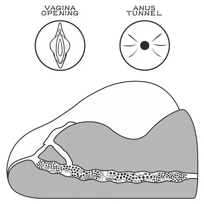 Lovetoy Streetgirls 2 Black, Masturbator TPE 19.5 cm Maro