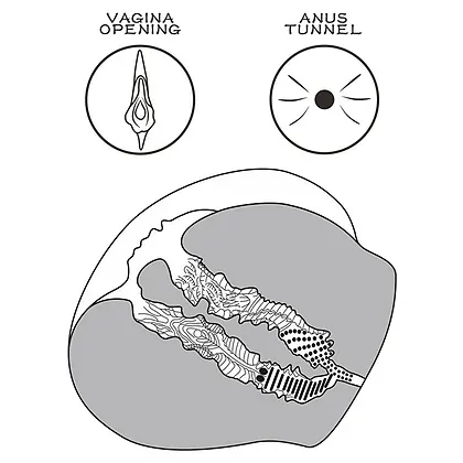 Masturbator Lovetoy Streetgirls #12 — TPE Ultra-moale
