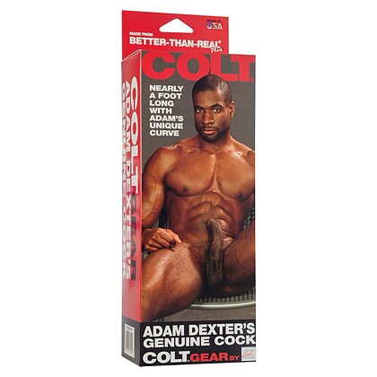 Dildo Adam Dexter