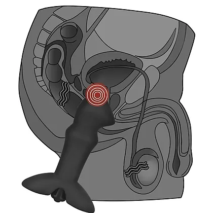 Masator Prostata Anal Indulgence Negru