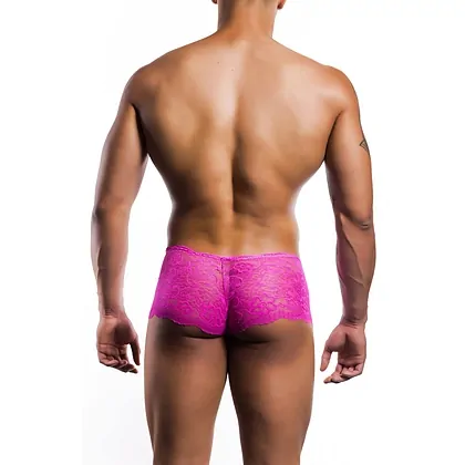 Rose Lace Boy Short Roz S-M