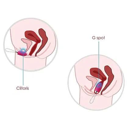 Svakom Elva Remote Control Vibrating Egg Roz