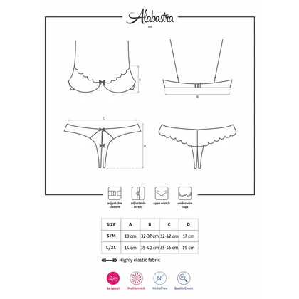 Set Obsessive Alabastra Roz S-M