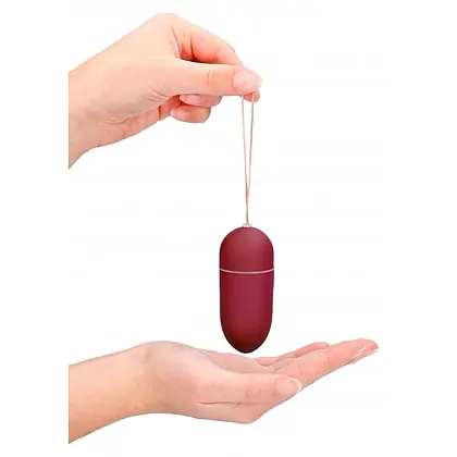 Vibrator 10 Speed Remote Egg Big Roșu
