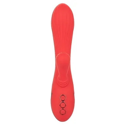 Vibrator Rabbit Palisades Passion Rosu