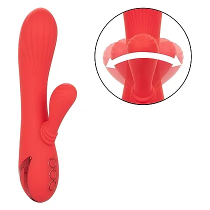 Vibrator Rabbit Palisades Passion Rosu