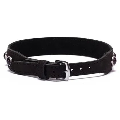 Zgardă Octane Crystal Hot