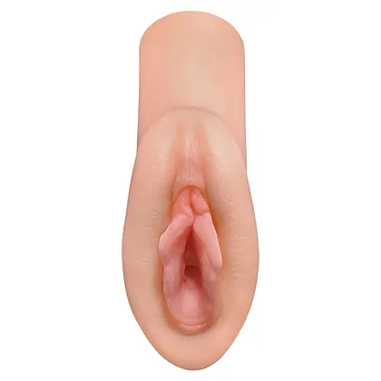 Zonă Realistă De Vis